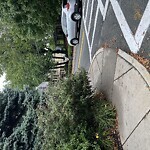 Sidewalk Obstruction at 1–25 Francis St, Brookline 02446