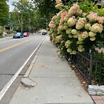 Sidewalk Obstruction at 273 Walnut St