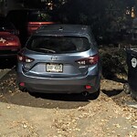 Parking Issues at 4 Williams St