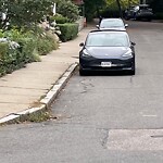 Parking Issues at 7 Franklin St