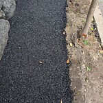 Sidewalk Repair at 20 Short St