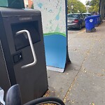 Trash/Recycling at 31 Harvard St Trash/Recycling at 31 Harvard St