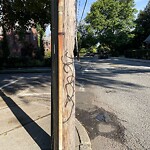 Graffiti at 142–198 Sewall Ave