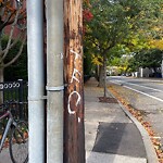 Graffiti at 275 Cypress St