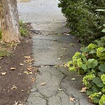 Sidewalk Repair at 50 Cumberland Ave