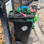 Trash/Recycling at 599 Brookline Ave