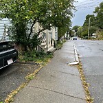 Sidewalk Obstruction at 63 Franklin St