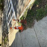 Sidewalk Obstruction at 173 Thorndike St