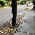 Sidewalk Obstruction at 5–33 Welland Rd