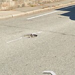 Pothole at 709 Boylston St