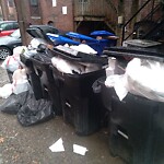 Trash/Recycling at 1406 Beacon St