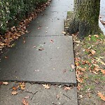 Sidewalk Repair at 118 Salisbury Rd