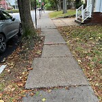 Sidewalk Repair at 74 Salisbury Rd