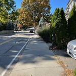 Sidewalk Obstruction at 273 Walnut St