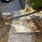 Sidewalk Repair at 100 Centre St