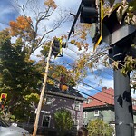 Traffic Signal at 139 Davis Ave