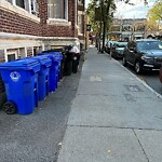 Trash/Recycling at 9 Babcock St