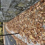 Sidewalk Obstruction at Old Burying Ground, 27 Chestnut St, Brookline 02445