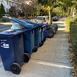 Trash/Recycling at 81 Winchester St