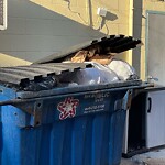 Trash/Recycling at 1001 Beacon St