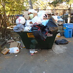 Trash/Recycling at 3 Greenway Court, 3 Greenway Ct, Brookline 02446