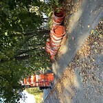 Sidewalk Obstruction at Brookline Reservoir Park, 119–125 Dudley St, Brookline 02445