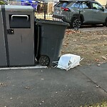 Trash/Recycling at 1–99 Edwin St