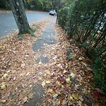 Sidewalk Repair at 234 Tappan St