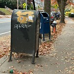 Graffiti at 147 Winchester St