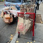 Sidewalk Obstruction at 305 Harvard St