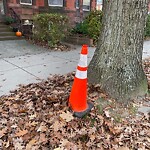 Trash/Recycling at 1885 Beacon St