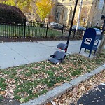 Trash/Recycling at 1763 Beacon St