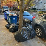 Trash/Recycling at 81 Winchester St