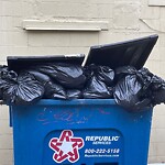 Trash/Recycling at 1003 Beacon St