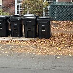 Trash/Recycling at 42.34 N 71.12 W