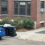 Trash/Recycling at 42.34 N 71.12 W