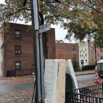 Trash/Recycling at 45 Harvard Ave