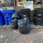 Trash/Recycling at 1017 Beacon St