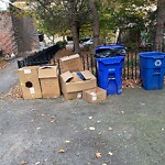 Trash/Recycling at 1005 Beacon St