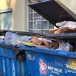 Trash/Recycling at 1003 Beacon St