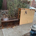 Trash/Recycling at 42 Milton Rd, Brookline 02445