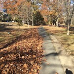 Sidewalk Obstruction at 42.33 N 71.12 W