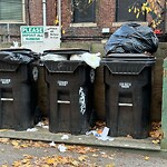 Trash/Recycling at 1017 Beacon St