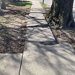 Sidewalk Repair at 168 Independence Dr, Chestnut Hill