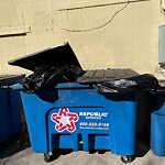 Trash/Recycling at 1005 Beacon St