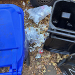 Trash/Recycling at 92 University Rd