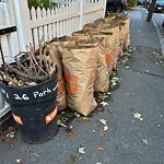 Sidewalk Obstruction at 26 Parkway Rd