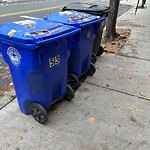 Trash/Recycling at 50 Winchester St