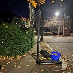 Sidewalk Obstruction at 23 Dale St, Chestnut Hill