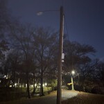 Streetlight at Emerald Necklace Trail